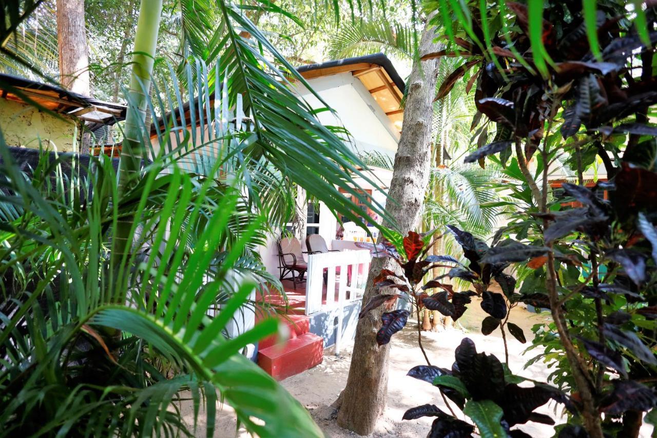 Temple Garden Seaside Cottages パロレム エクステリア 写真